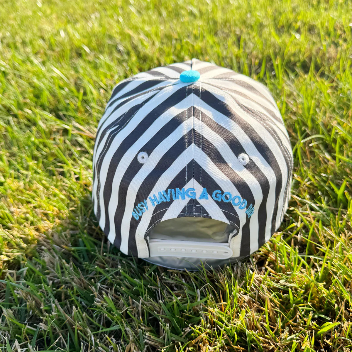Black and white striped pet bed with blue text on grass